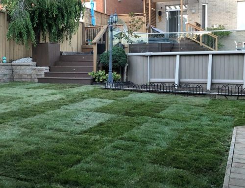 細談鋪草皮施工流程